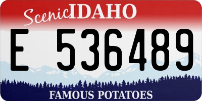 ID license plate E536489