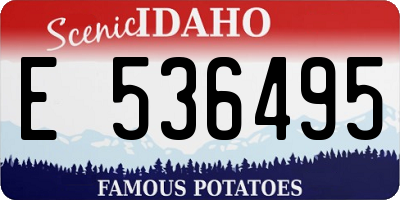 ID license plate E536495