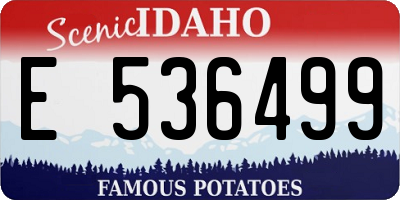 ID license plate E536499