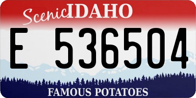 ID license plate E536504