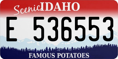 ID license plate E536553
