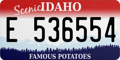 ID license plate E536554