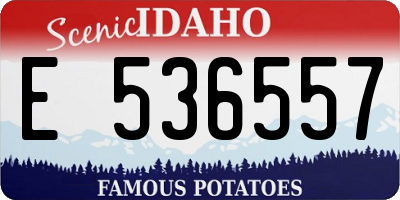 ID license plate E536557