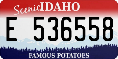 ID license plate E536558