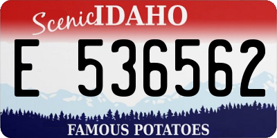 ID license plate E536562