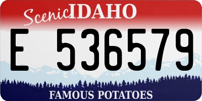 ID license plate E536579