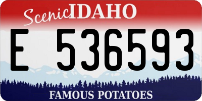 ID license plate E536593