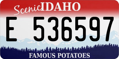 ID license plate E536597