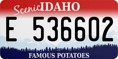 ID license plate E536602