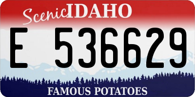 ID license plate E536629