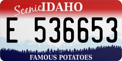 ID license plate E536653