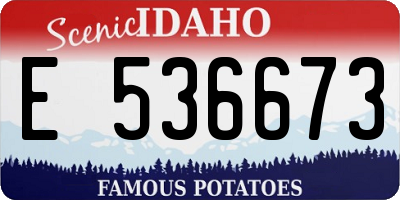 ID license plate E536673