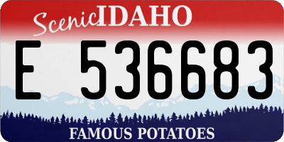 ID license plate E536683