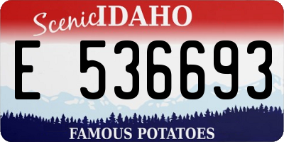 ID license plate E536693