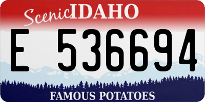 ID license plate E536694