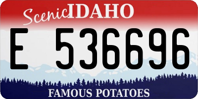 ID license plate E536696