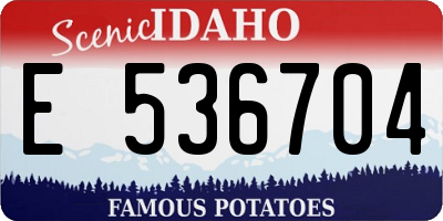 ID license plate E536704