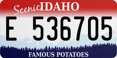 ID license plate E536705