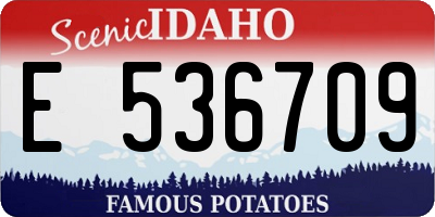 ID license plate E536709
