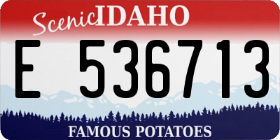 ID license plate E536713