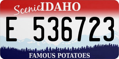 ID license plate E536723
