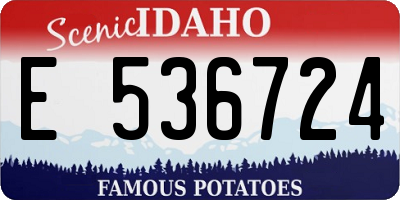ID license plate E536724