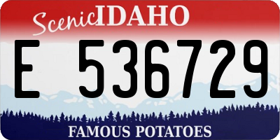 ID license plate E536729