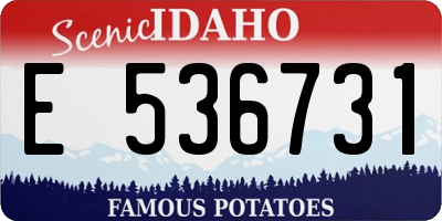 ID license plate E536731