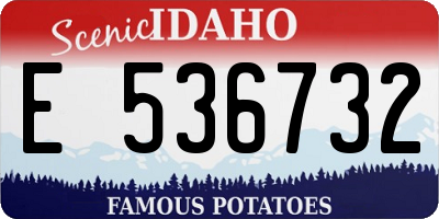 ID license plate E536732