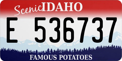 ID license plate E536737