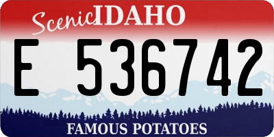 ID license plate E536742