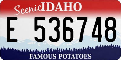 ID license plate E536748