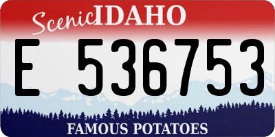 ID license plate E536753