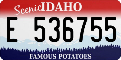 ID license plate E536755