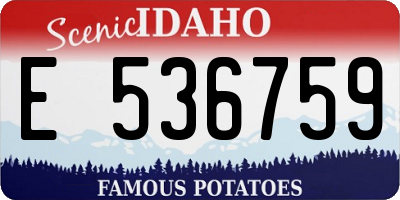ID license plate E536759