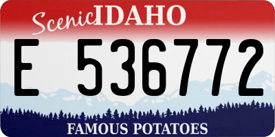 ID license plate E536772