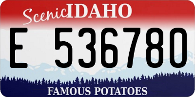 ID license plate E536780