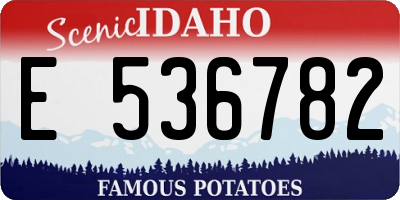 ID license plate E536782