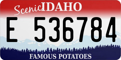 ID license plate E536784
