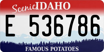 ID license plate E536786