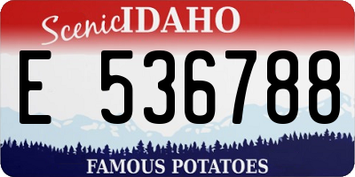 ID license plate E536788