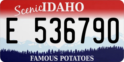 ID license plate E536790