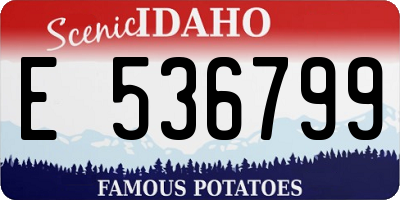 ID license plate E536799