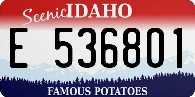 ID license plate E536801