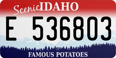 ID license plate E536803