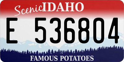 ID license plate E536804