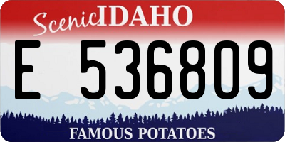ID license plate E536809