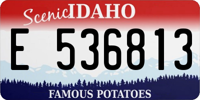 ID license plate E536813