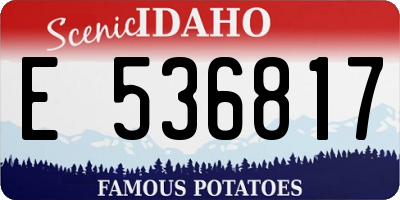 ID license plate E536817