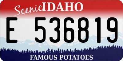 ID license plate E536819